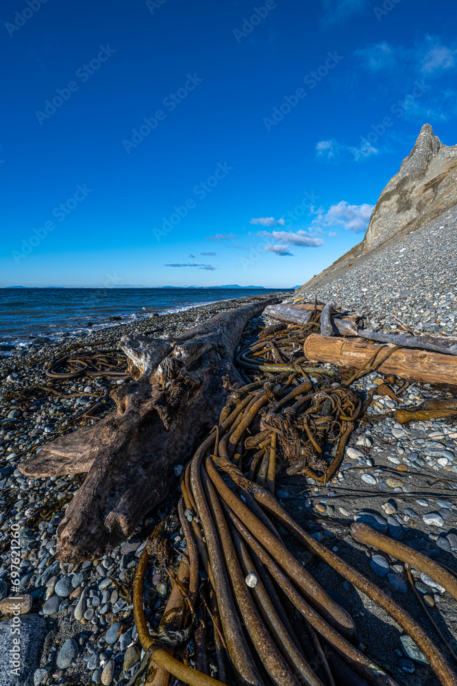 Shoreline in the Fort Ebey State Park, WA