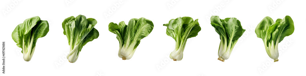 collection of bok choy vegetables isolated on a transparent background collection of bok choy vegetables isolated on a transparent background