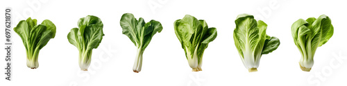 collection of bok choy vegetables isolated on a transparent background photo