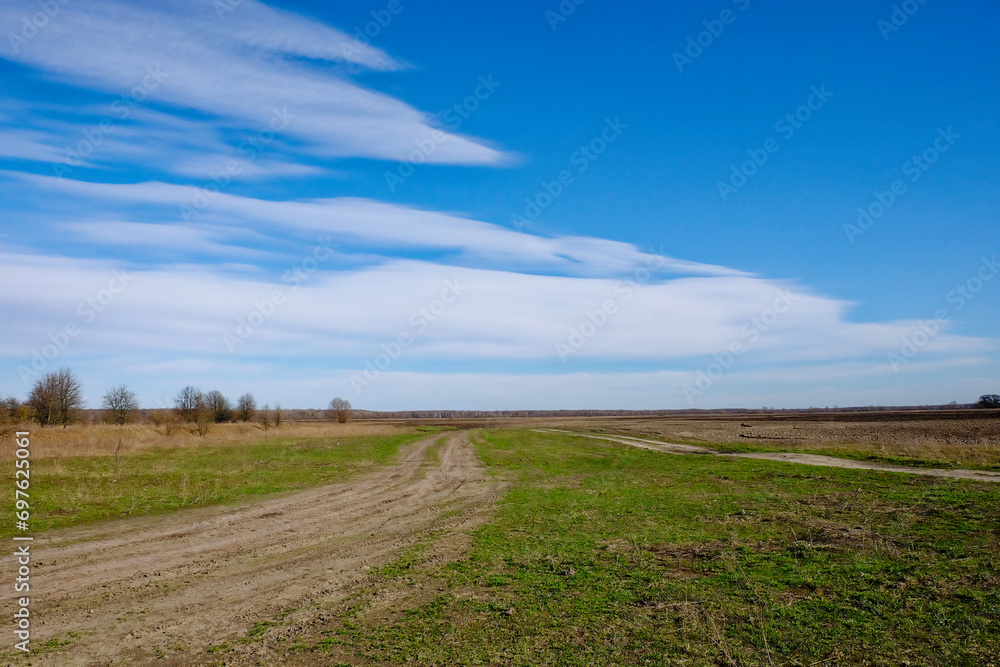 A scenic view of a dirt road in a field with a blue sky.