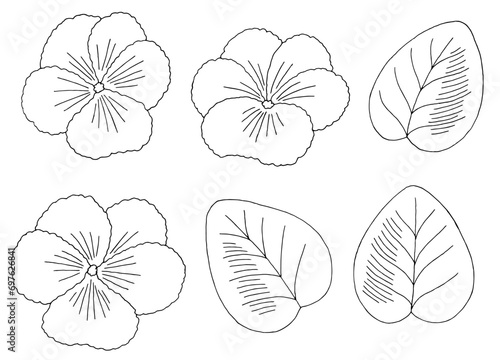 Violet flower graphic black white isolated sketch illustration vector 