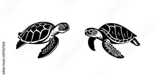 Turtle illustration, logo. Vector icon drawing on white background
