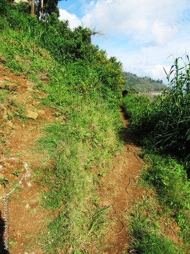 Haputale im Hochland Sri Lankas photo