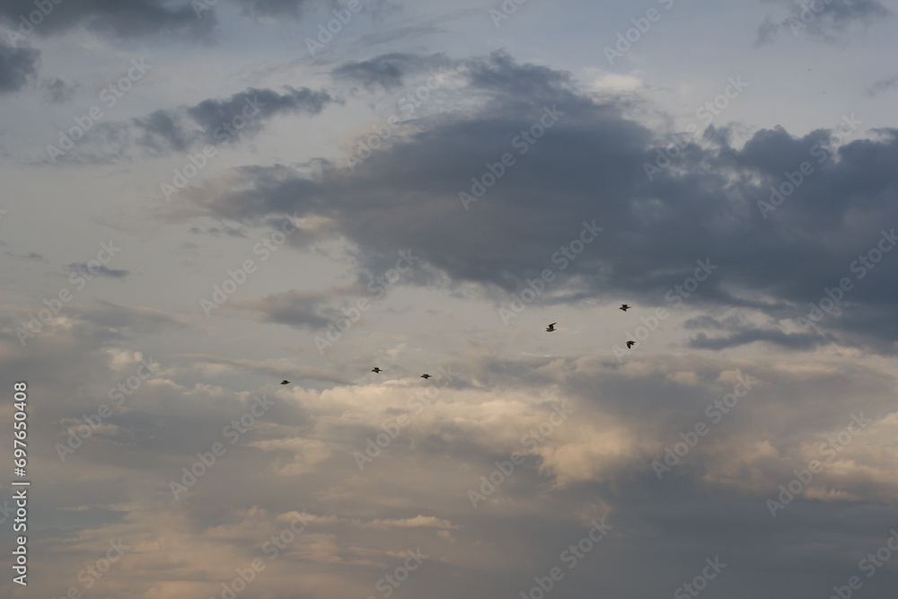 Beautiful sky at sunset, background with sunset Beautiful sky at sunset, background with sunset