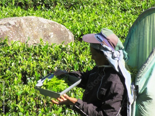 Haputale im Hochland Sri Lankas photo