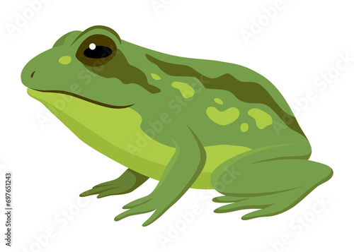 Frog jumping animation icon. Sequences or footage for motion design. Cartoon toad jumping, animal movement concept. Frog leap sequence, illustration