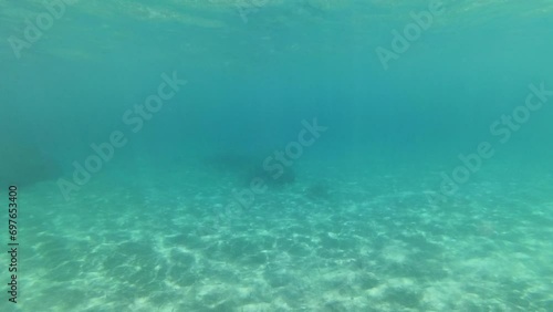 Under Water snorkeling phase at Hawaiian Pacific Ocean area photo