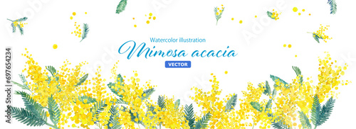 ミモザの水彩イラストの装飾フレーム。春のイメージ背景。（ベクター。レイアウト変更可能）