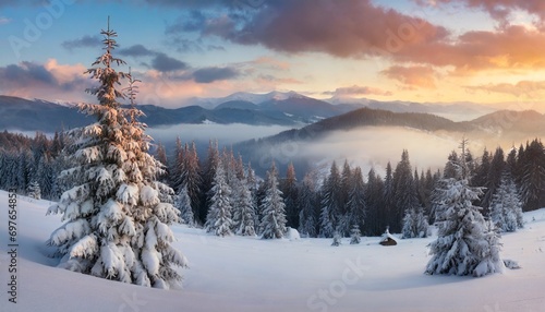 christmas postcard panoramic winter view of carpathian mountains with snow covered fir trees foggy sunrise on the mountain valley happy new year celebration concept © Ashley
