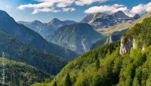 forest and mountains in national park piva in montenegro highs photo