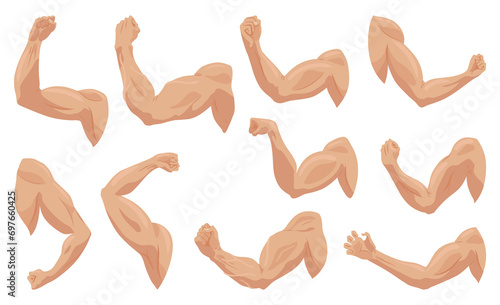 Male biceps muscles icons set. Sportsman arm with strong biceps.  symbol of healthy power. Athletic body with tense muscles hand isolated onwhite background photo