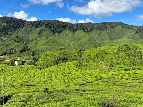 Εκτύπωση καμβά cameroon highland valleys