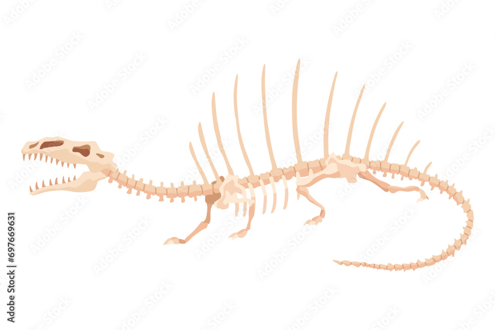 Dinosaur skeleton. Dino monsters icon. Shape of real animal. Sketch of prehistoric reptiles. Vector illustration isolated on white. Hand drawn sketch Dinosaur skeleton. Dino monsters icon. Shape of real animal. Sketch of prehistoric reptiles. Vector illustration isolated on white. Hand drawn sketch