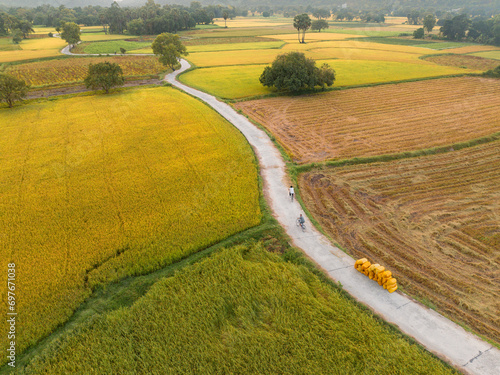 December 10, 2023: panoramic view of Ta Pa fields, An Giang province, Vietnam during the ripe rice season photo