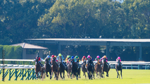京都競馬場にて疾走する競走馬たち