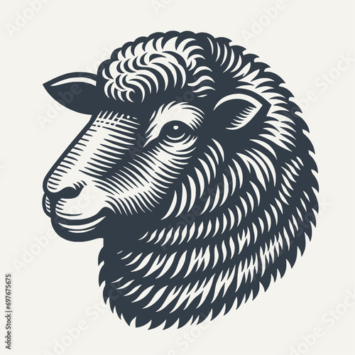 Hand drawn sheep head. Vintage woodcut engraving style vector illustration.