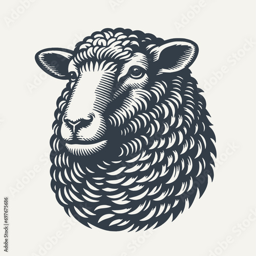 Hand drawn sheep head. Vintage woodcut engraving style vector illustration.