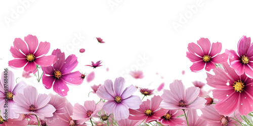 Pink cosmos flower border Artificial Intelligence Generative