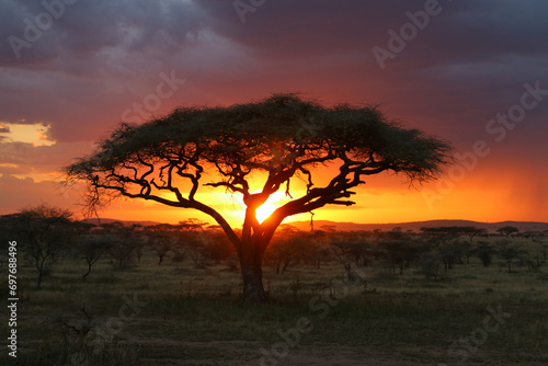 Fototapeta Naklejka Na Ścianę i Meble -  African sunset