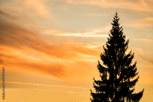 Spruce trees silhouette against the dramatic sunset sky.