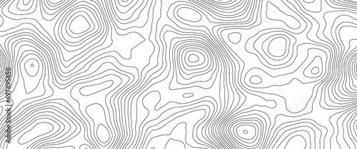 Topo contour map on white background, Topographic contour lines. 