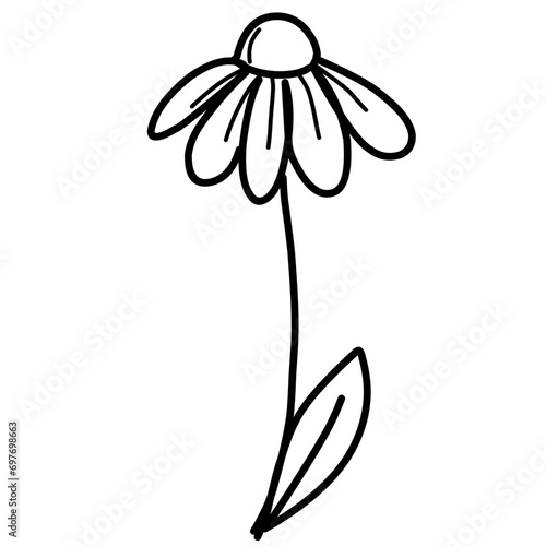 Daisy line art
