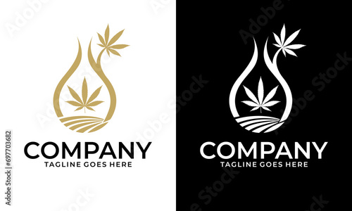 Creative Medical Cannabis oil logo design template vector illustration. Luxury Hemp Leaf with Oil Drop. Cannabis Logo Template