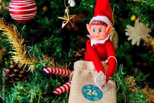 Fotografía Lutin Farceur