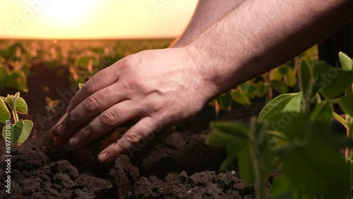 farmer holds soil hand sunset field, agriculture, where takes care soil, cultivates land using organic fertilizer, takes care level harvest plot. checks soil for fertilizer levels, taking care photo