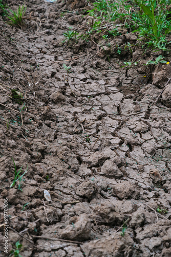 Cracked Rice Fields Due to Drought