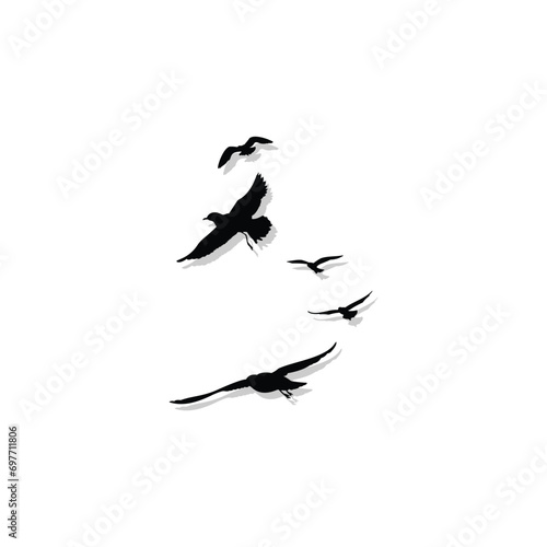 silhouette of a flock flying bird, vector illustration, flying flock bird isolated white background
