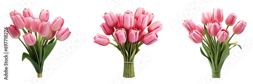 Spring Tulip Flowers PNG Collection