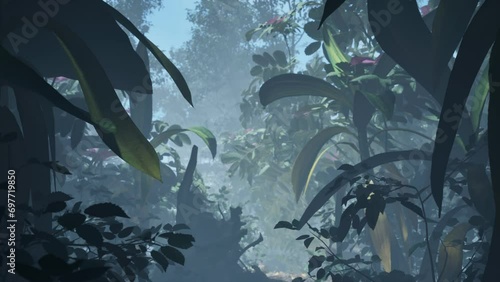 Fog In The Jungle