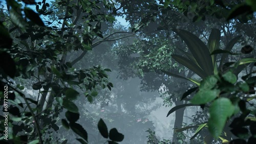 Cinematic Animation Of A Tropical Jungle