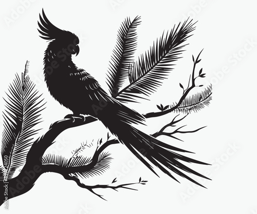 Black cockatoo sitting on a branch of a tree vector illustration