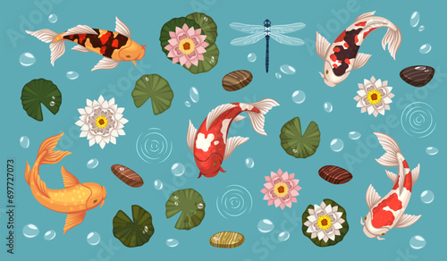 Decorative asian pond elements. Koi fish, colored japanese carps, aquatic plants, rocks, garden design, lilies and lotuses in water, top view objects. cartoon flat style tidy vector set