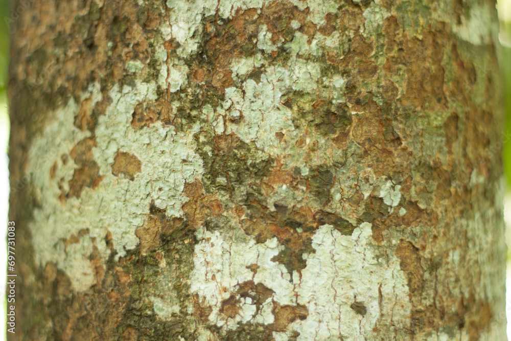 close up photo of abstract background close up photo of abstract background