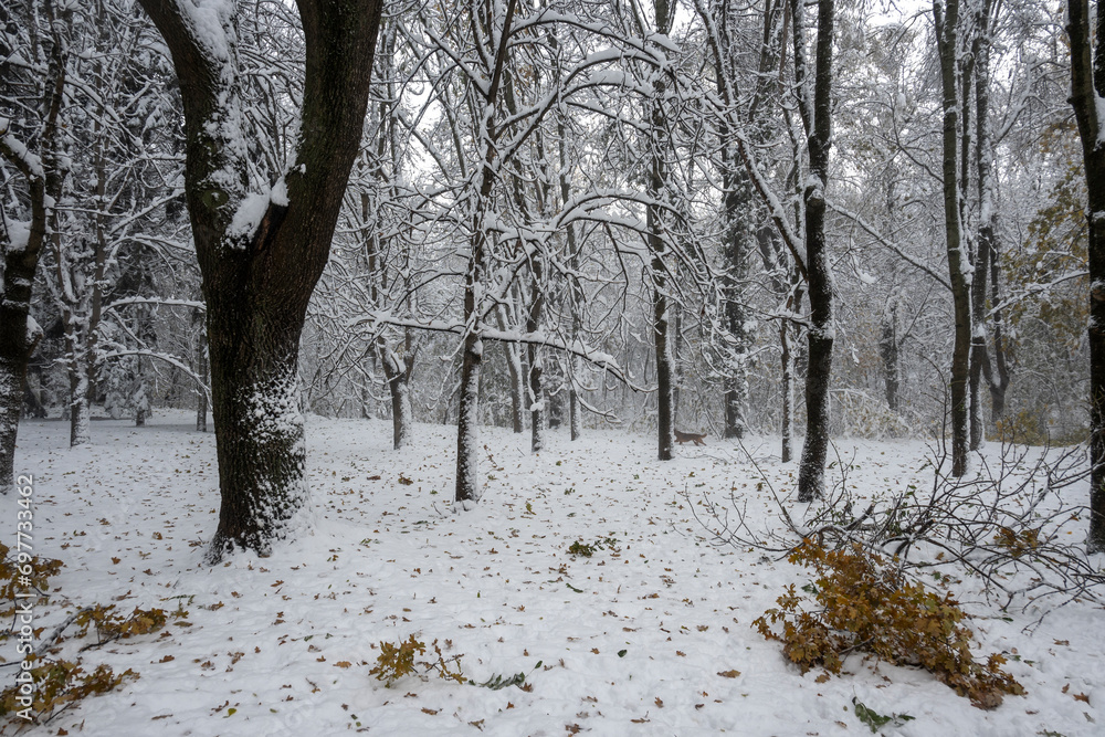Winter view of South Park in city of Sofia, Bulgaria Winter view of South Park in city of Sofia, Bulgaria