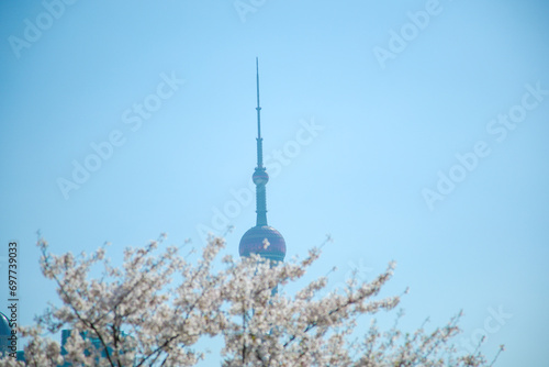 Photography Pudong New Area, Shanghai-urban architecture against the backdrop of cherry blos