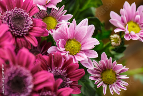 Bouquet of red  pink and white chrysanthemums