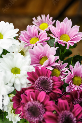 Bouquet of red  pink and white chrysanthemums