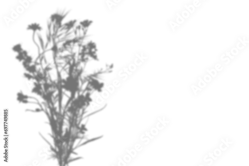Wildflowers shadow overlay on white background. Shadow from a wildflower bouquet. Overlay effect for photo, mockup, posters, wall art, design presentation. Shadow for natural light effects.