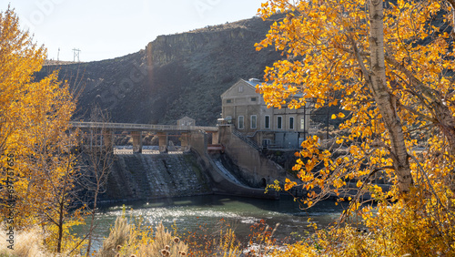 Autumn cottonwood trees on the Boise River at Diversion Dam photo