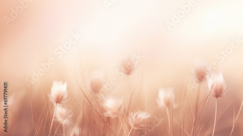 Meadow with wild flowers in the sunny summer day.Soft pastel background Peach fuzz color of the year 2024