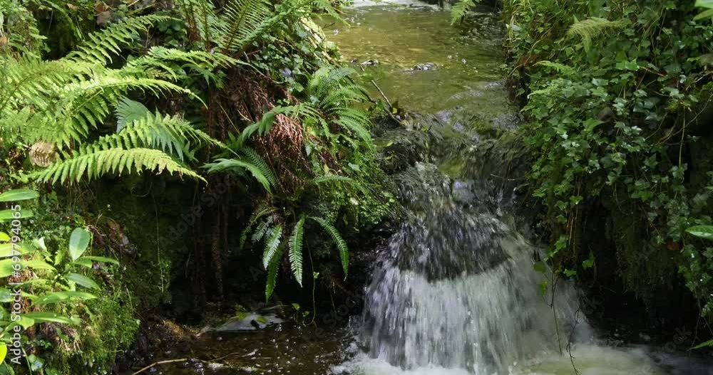 A waterfall captured from an elevated angle in daylight. Slow motion. pano A waterfall captured from an elevated angle in daylight. Slow motion. pano