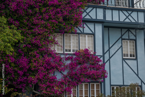 Detail of a blue house on lombard street in historic san francisco districts in downtown city neighborhood
