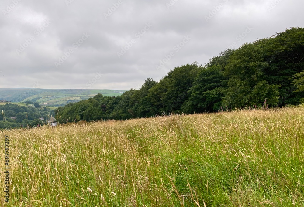 Heavy rain clouds, across a sloping wheatfield, with a forest, houses, and distant hills near, Bin Lane, Marsden, UK Heavy rain clouds, across a sloping wheatfield, with a forest, houses, and distant hills near, Bin Lane, Marsden, UK