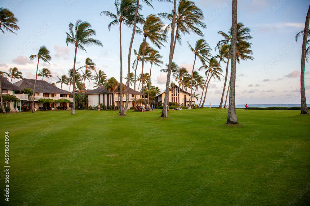 ​A perfect green grass lawn dotted by coconut trees and surrounded by condominium buildings with a sandy beach by the ocean near by, Kiahuna resort, Kauai