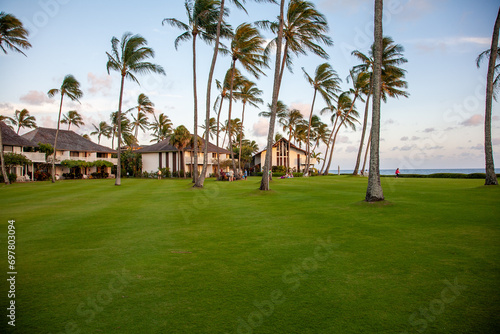 ​A perfect green grass lawn dotted by coconut trees and surrounded by condominium buildings with a sandy beach by the ocean near by, Kiahuna resort, Kauai
