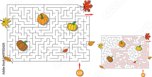 Thanksgiving autumn labyrinth with scattered pumpkins and leaves. Maze with entry and exit. Solution included - red passing route. Children logic game for brain training. Vector illustration